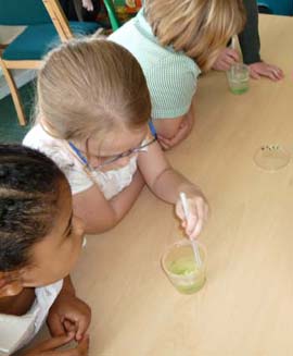 Finding the melting point of wax